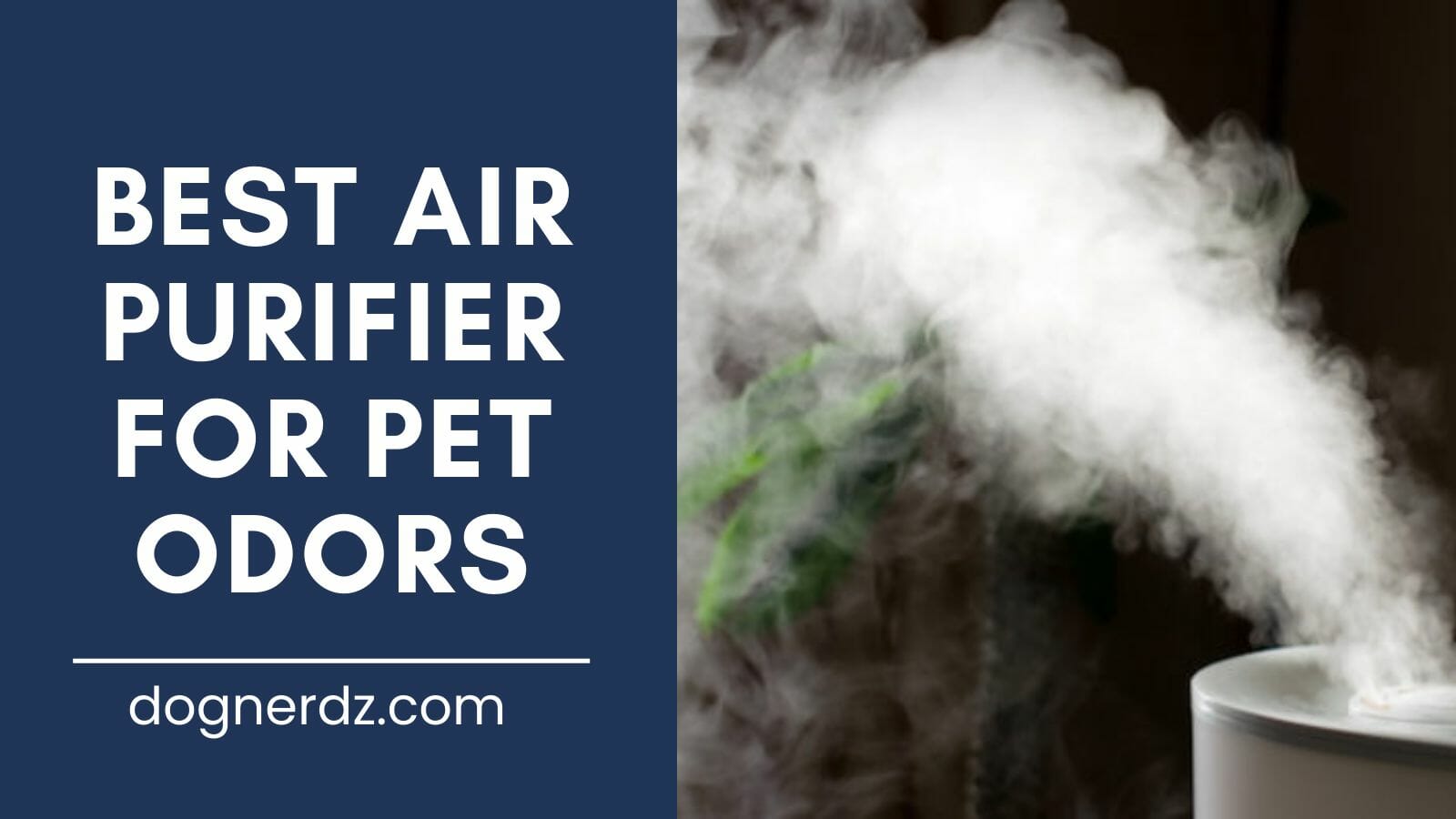 review of best air purifier for pet odors