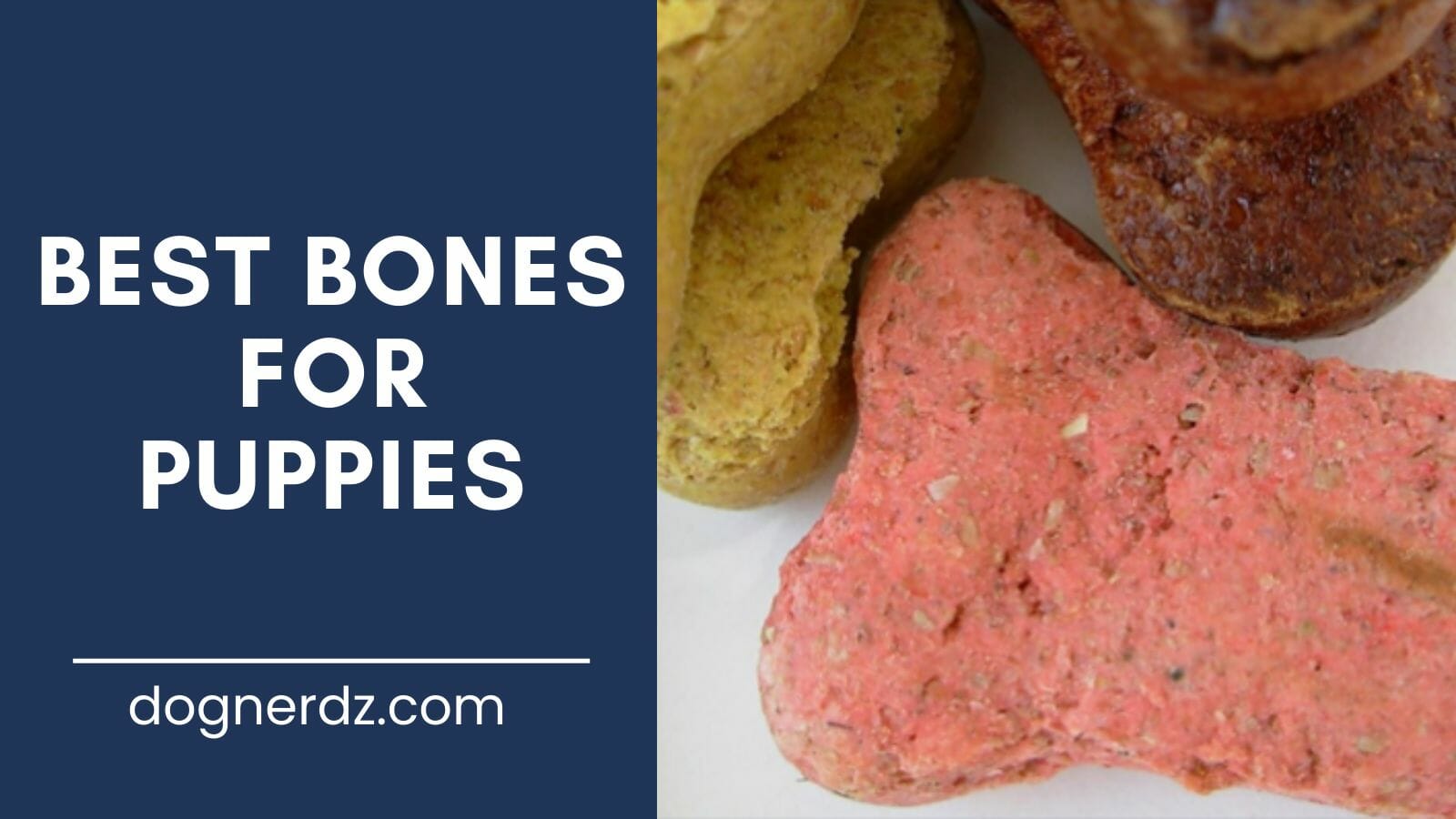 review for the best bones for puppies