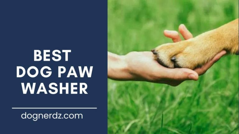 6 Best Dog Paw Washer in 2023: Paw Cleaning Solutions for a Pup’s Dirty Paws!