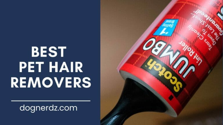 10 Best Pet Hair Removers in 2022