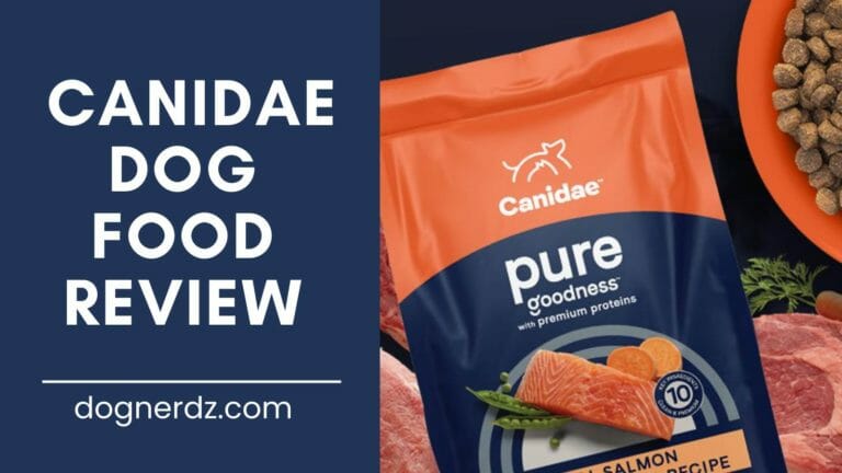Canidae Dog Food Review in 2023