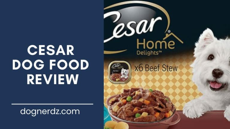 Cesar Dog Food Review in 2022