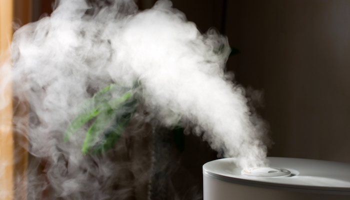 10 Best Air Purifier for Pet Odors