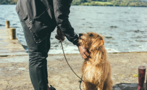 Man holding a dog with leash