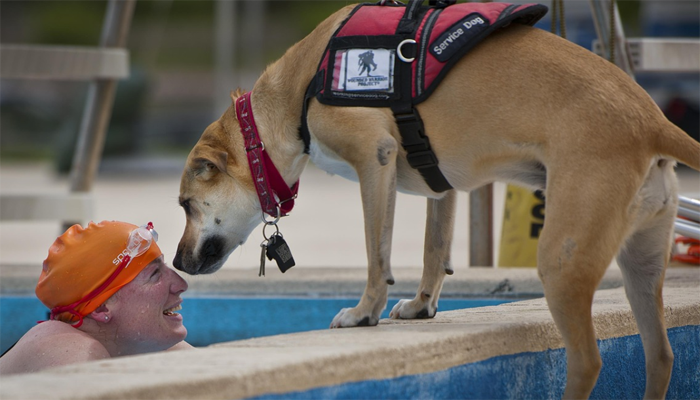 Man nose to nose with service dog