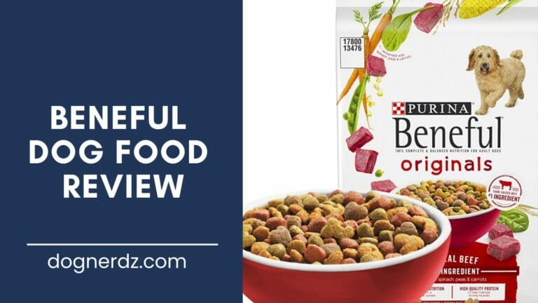 Beneful Dog Food Review in 2022