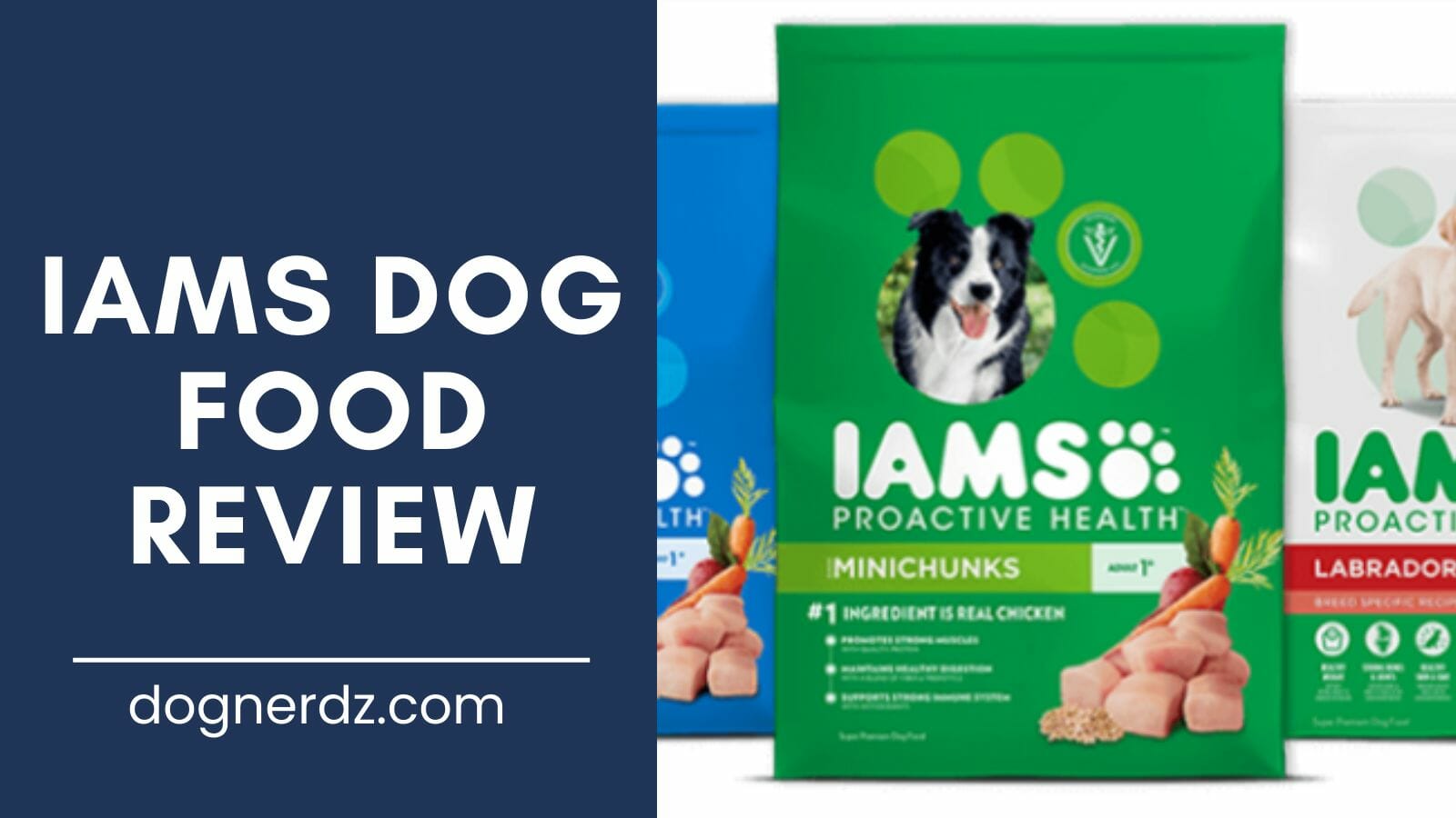 review of iams dog food