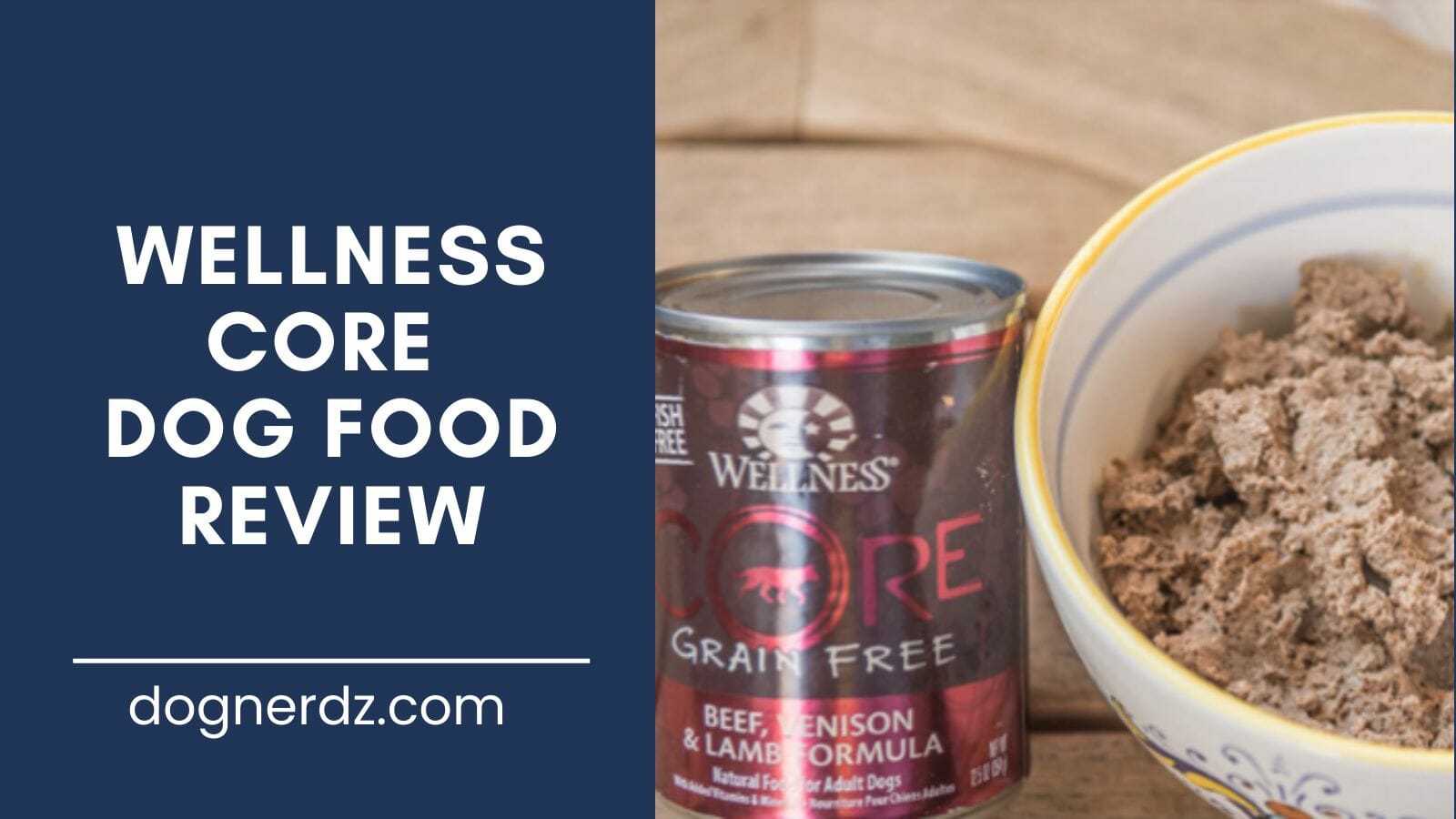 review of the best wellness core dog food