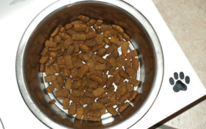Dog food on a aluminum plate