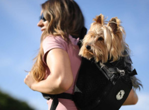 Woman with dog on a backpack