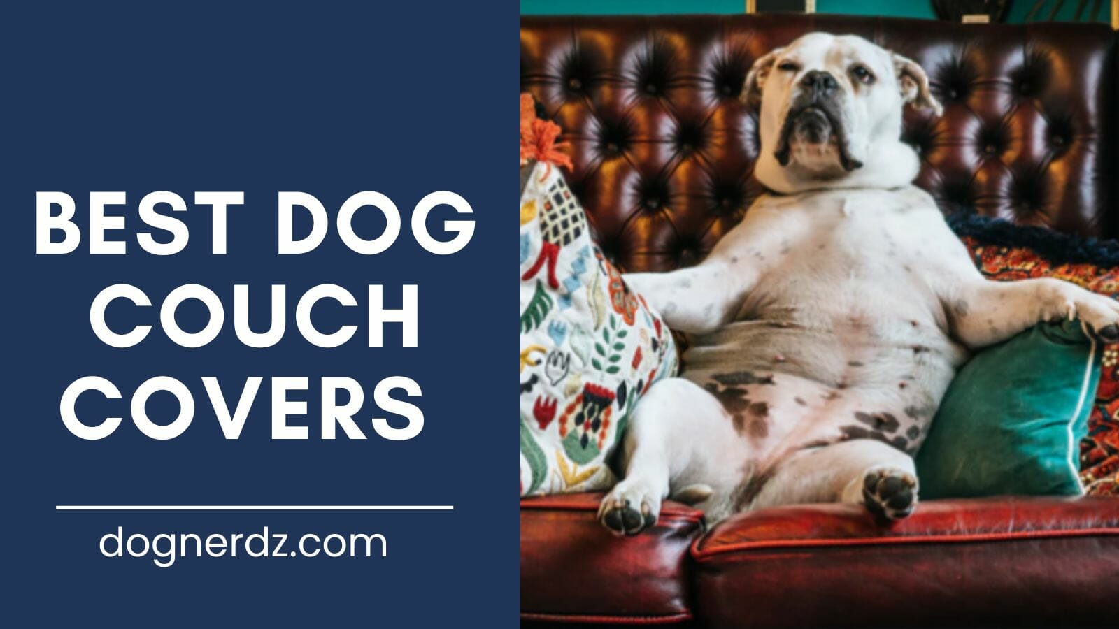 review of best dog couch covers