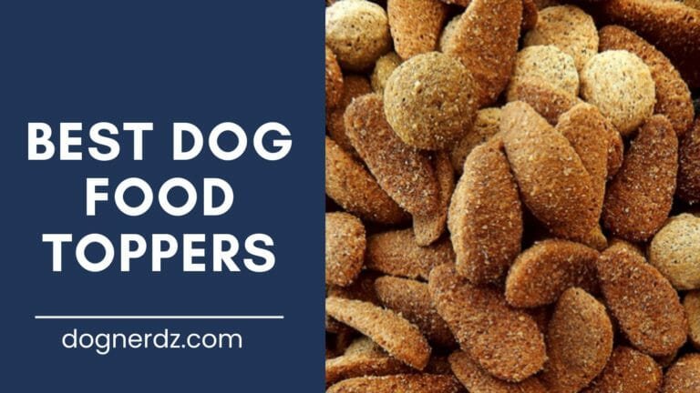 8 Best Dog Food Toppers in 2024