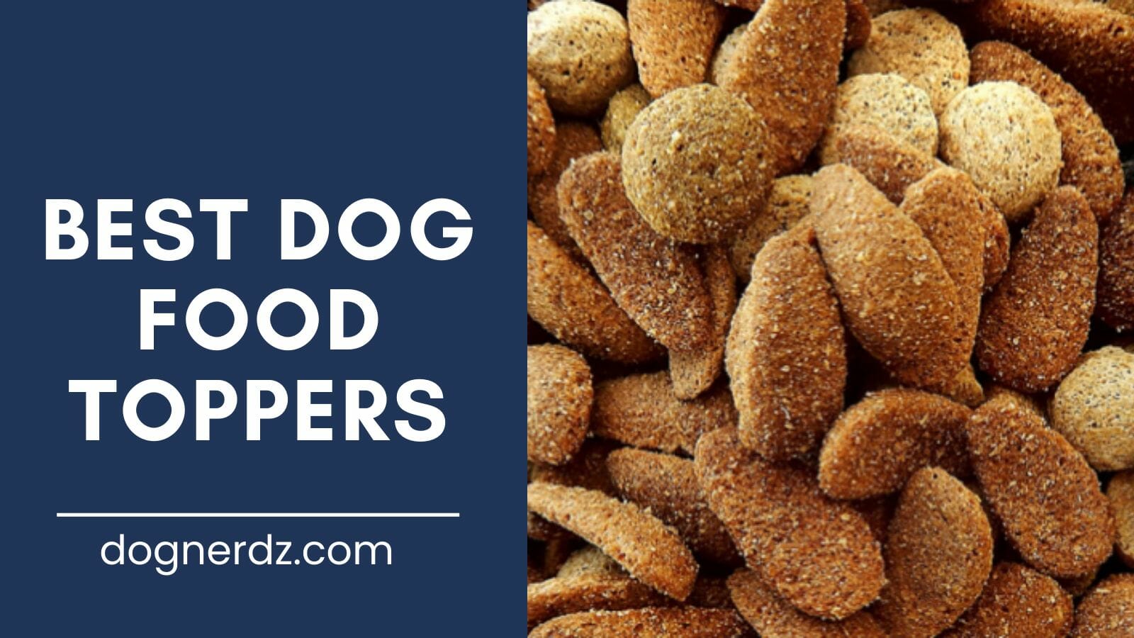 review of best dog food toppers