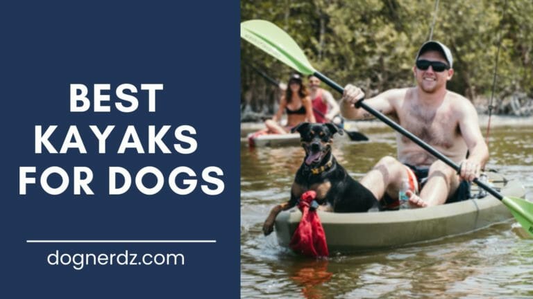 review of the best kayaks for dogs