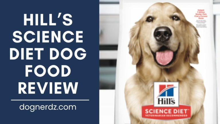 Hill’s Science Diet Dog Food Review (2022)