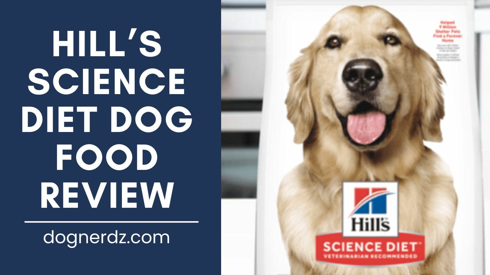 review of the hill’s science diet dog food