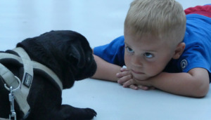 Boy and Dog facing each other