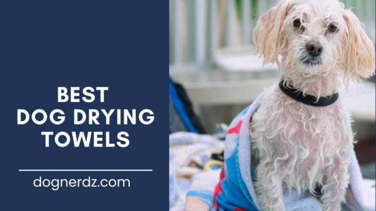 review of the best dog drying towels