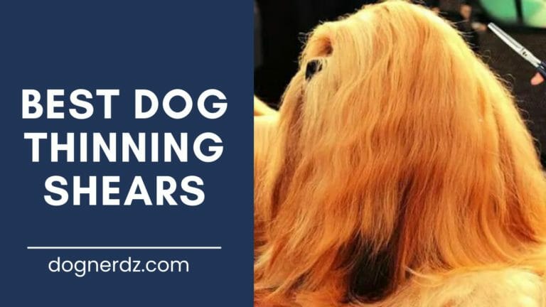 6 Best Dog Thinning Shears in 2024