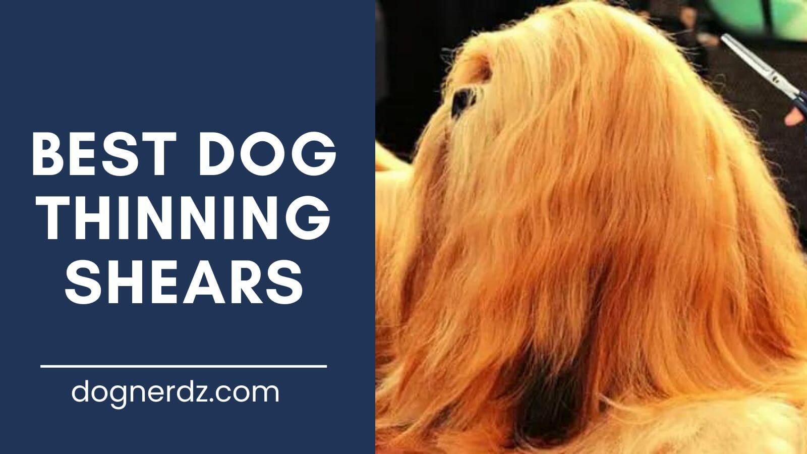 review of best dog thinning shears