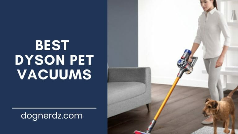 review of the best dyson pet vacuums