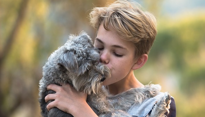 Kids and Dogs – Guide to Compatibility