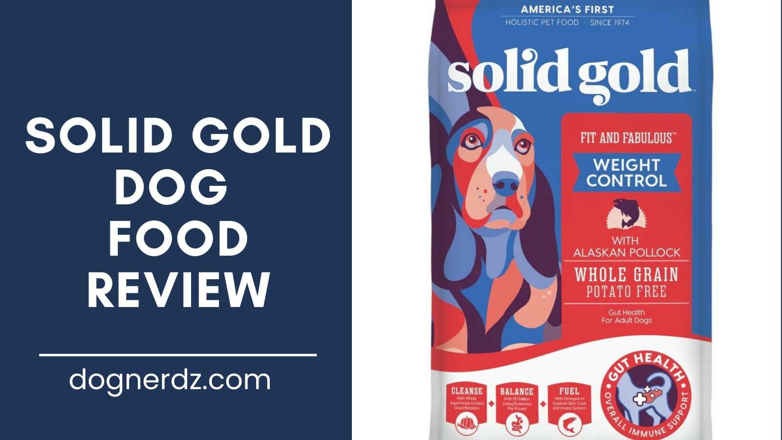 review of the best solid gold dog food