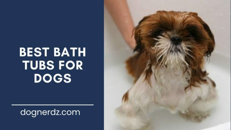review of the best bath tubs for dogs