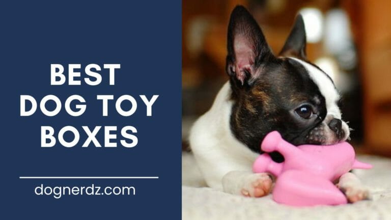 review of best dog toy boxes