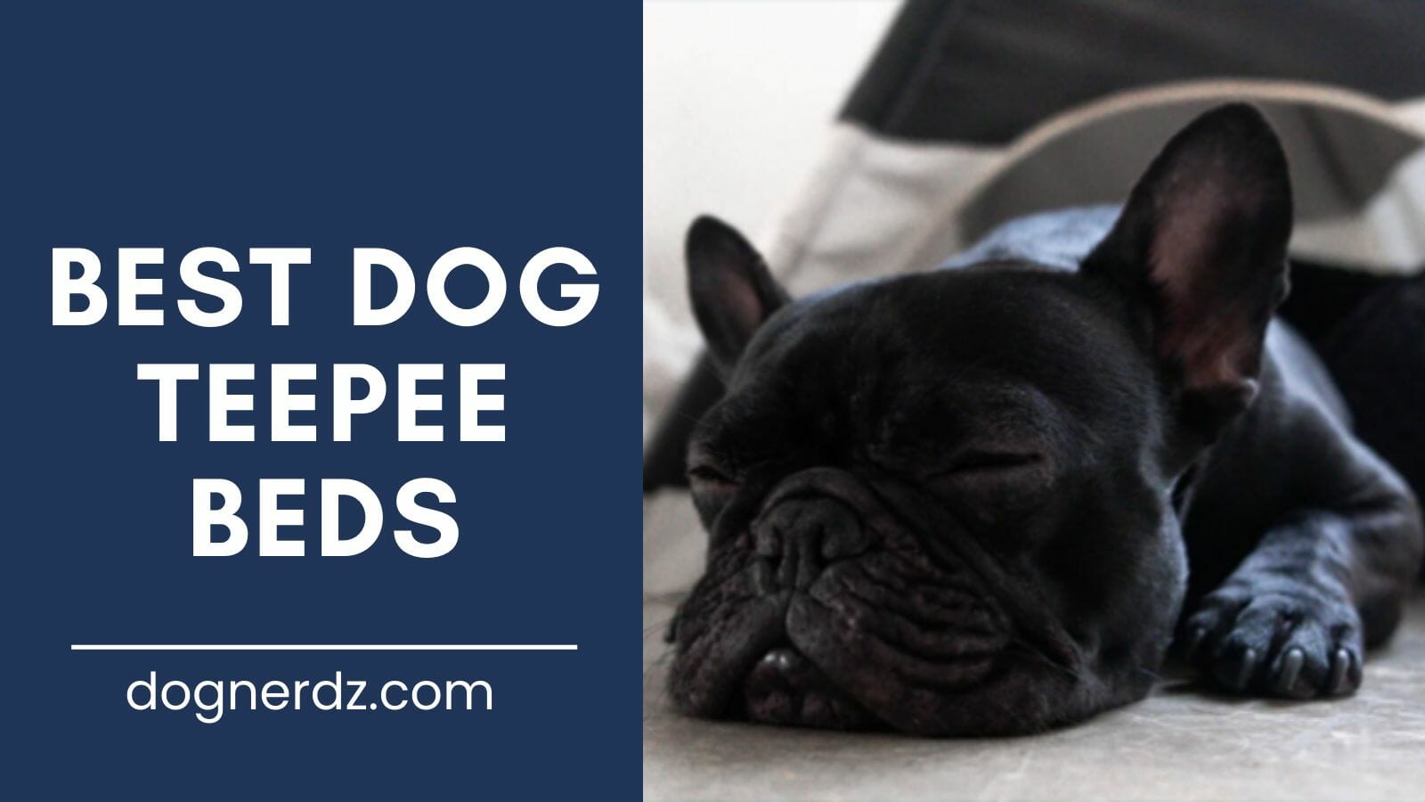 review of the best dog teepee beds