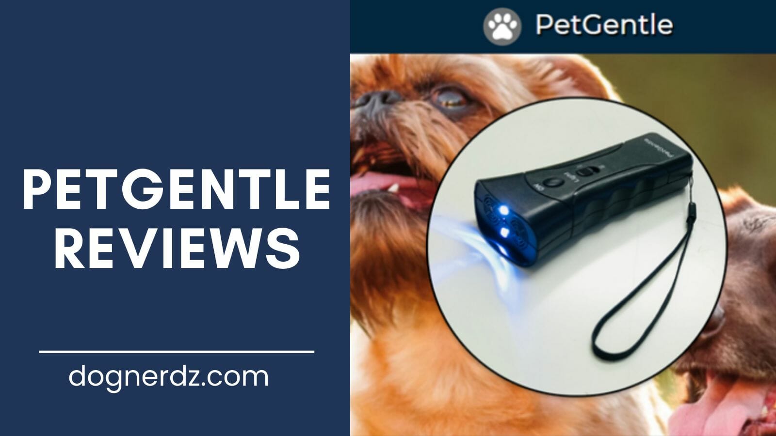 reviews of the best petgentle products