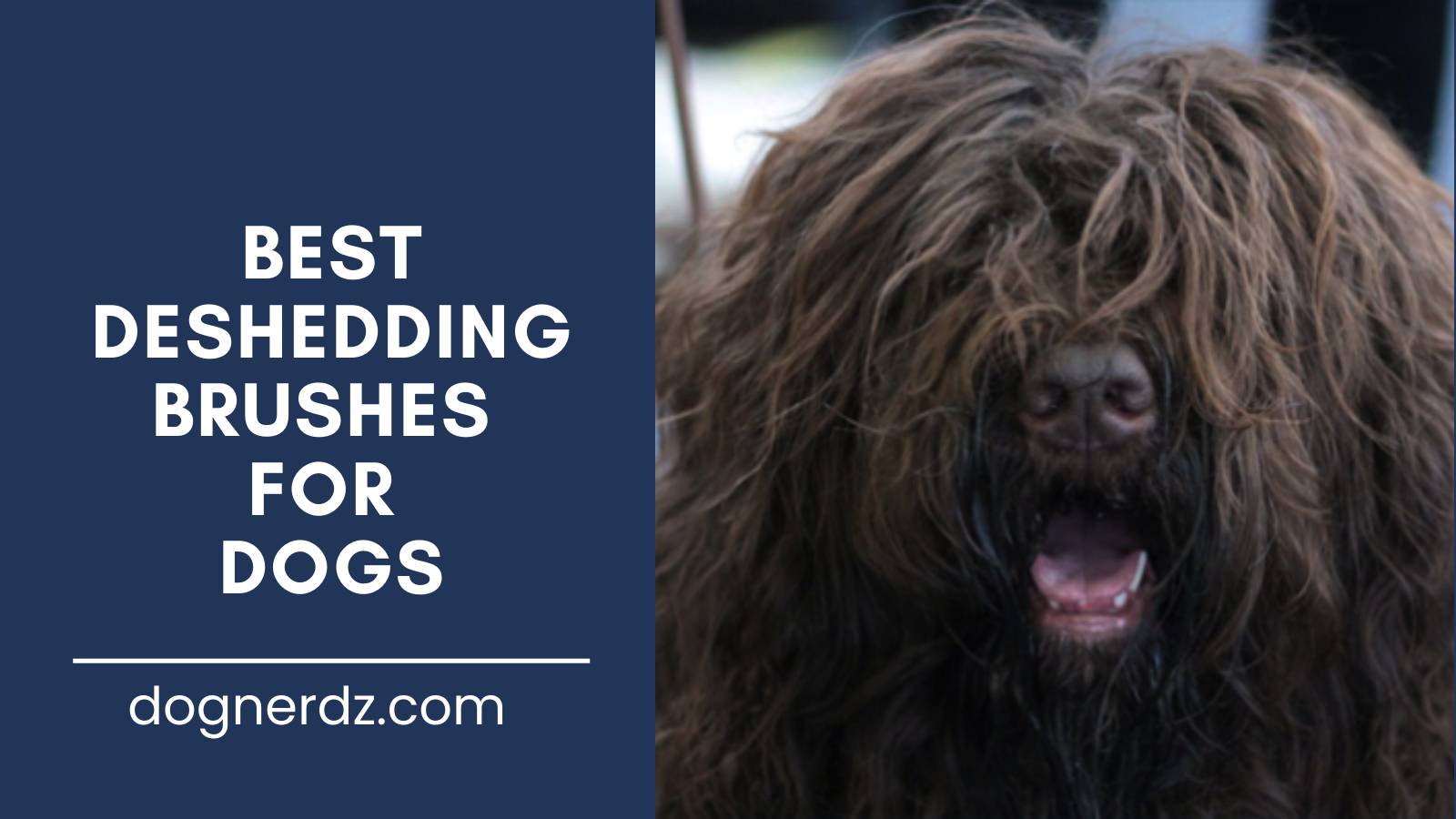 review of the best deshedding brushes for dogs