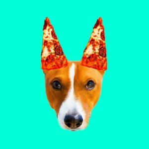 Pizza lover. Dog. Contemporary minimal collage. Funny Fast food art project