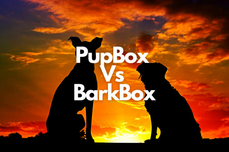 Pup Box Vs Bark Box