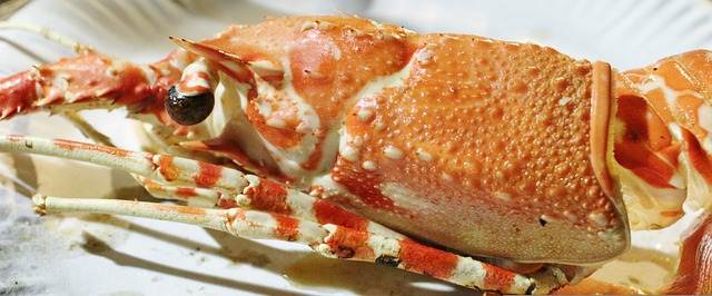 is there a downside to real crab meat