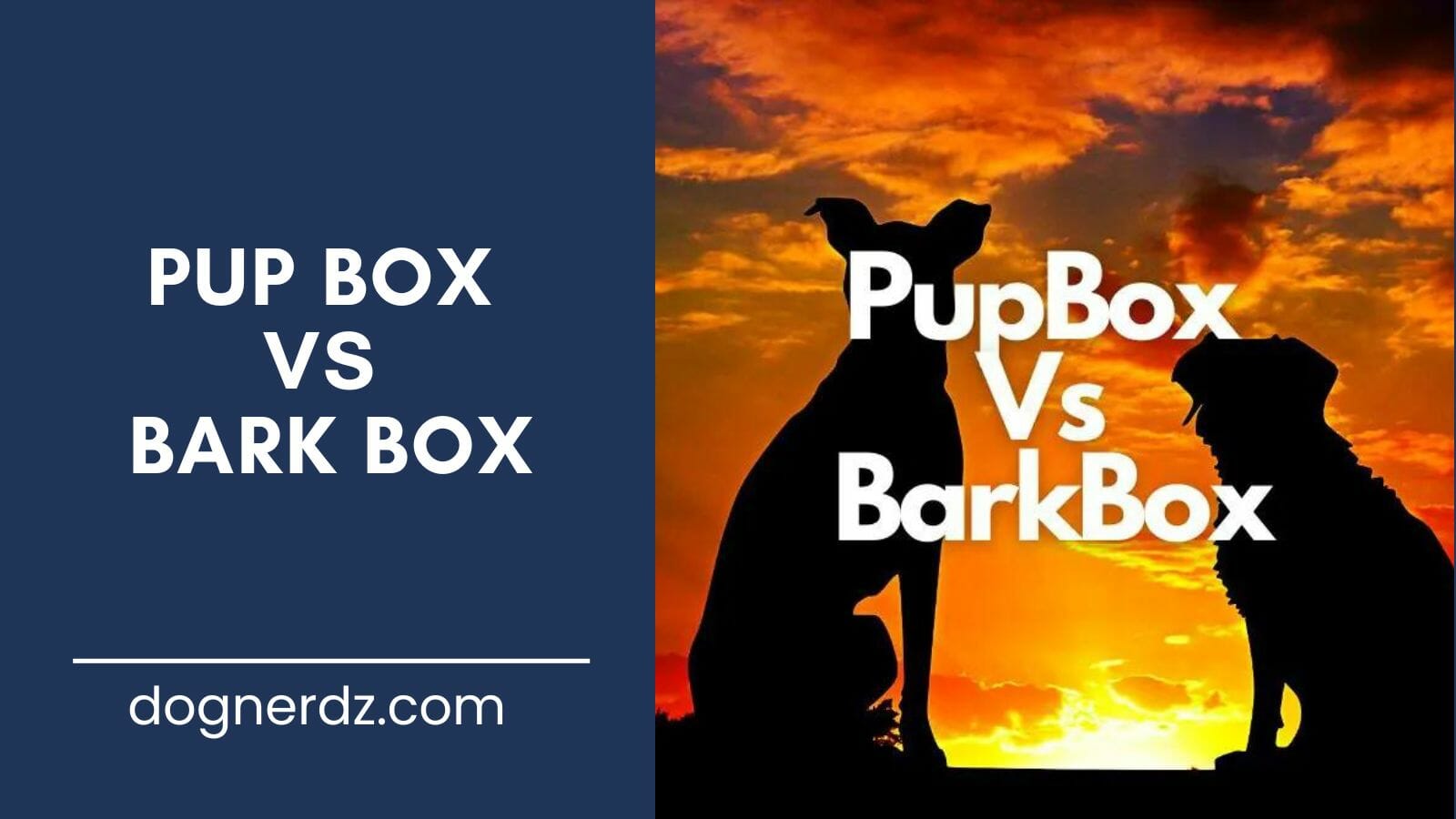 guide on pup box vs bark box
