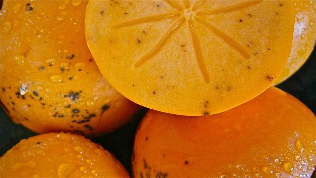 too much persimmons can lead to dogs diarrhea 