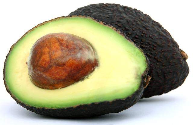 avocado seed is dangerous to dogs