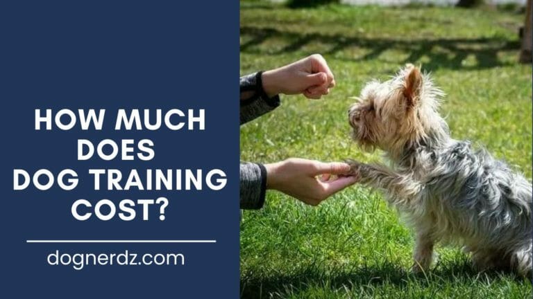 guide on how much does dog training cost