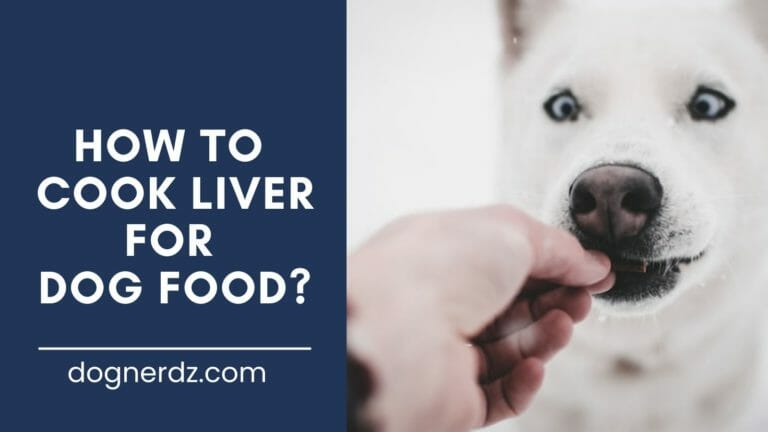 How to Cook Liver for Dog Food?