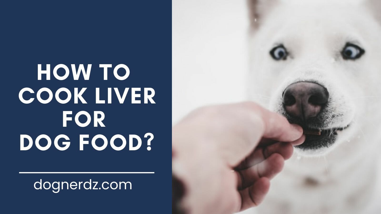 guide on how to cook liver for dog food