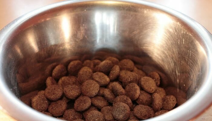 How to Measure Dog Food Portions