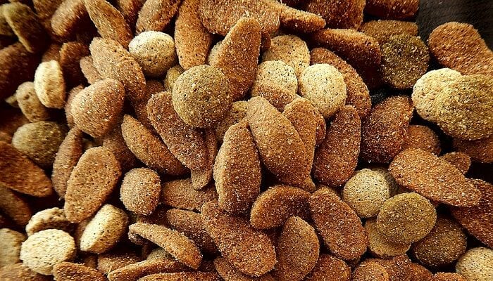 How to Make Dry Dog Food More Appealing (5 Ways)