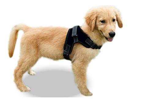 Copatchy No Pull Reflective Adjustable Harness