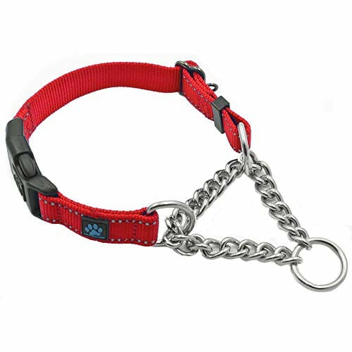 Max and Neo Dog Gear Martingale Chain Dog Collar