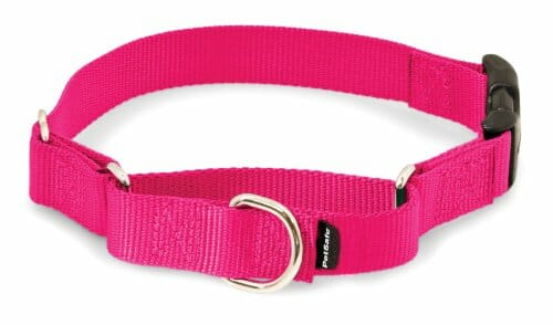 Petsafe Martingale Dog Collar with Buckle