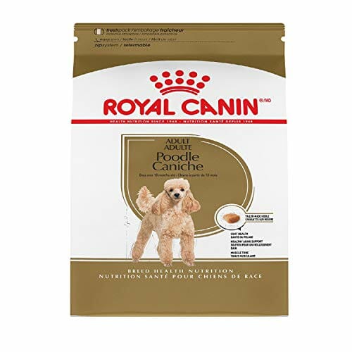Royal-Canin-Breed-Nutrition-Poodle-Adult