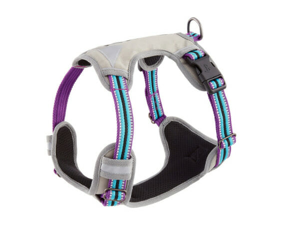 Blueberry Pet 3M Reflective Multi-Colored Padded Dog Harness.jpg