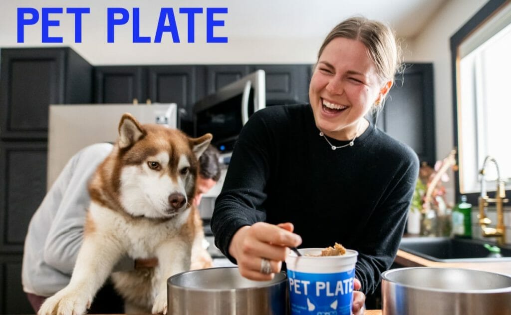 woman feeding dog pet plate dog food