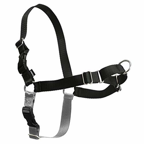 PetSafe-Easy-Walk-Dog-Harness